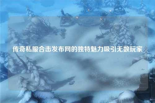 传奇私服合击发布网的独特魅力吸引无数玩家