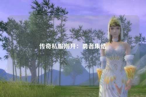 传奇私服刚开：勇者集结